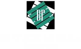 Business Formula Consulting Group